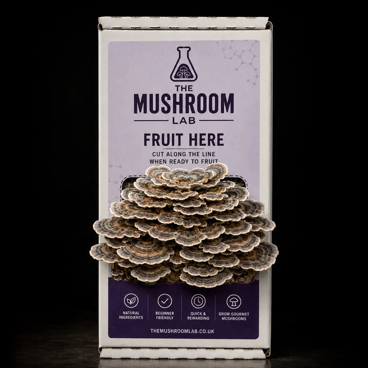 Everything you need to grow your own Turkey Tail mushrooms in as little as 4 weeks.