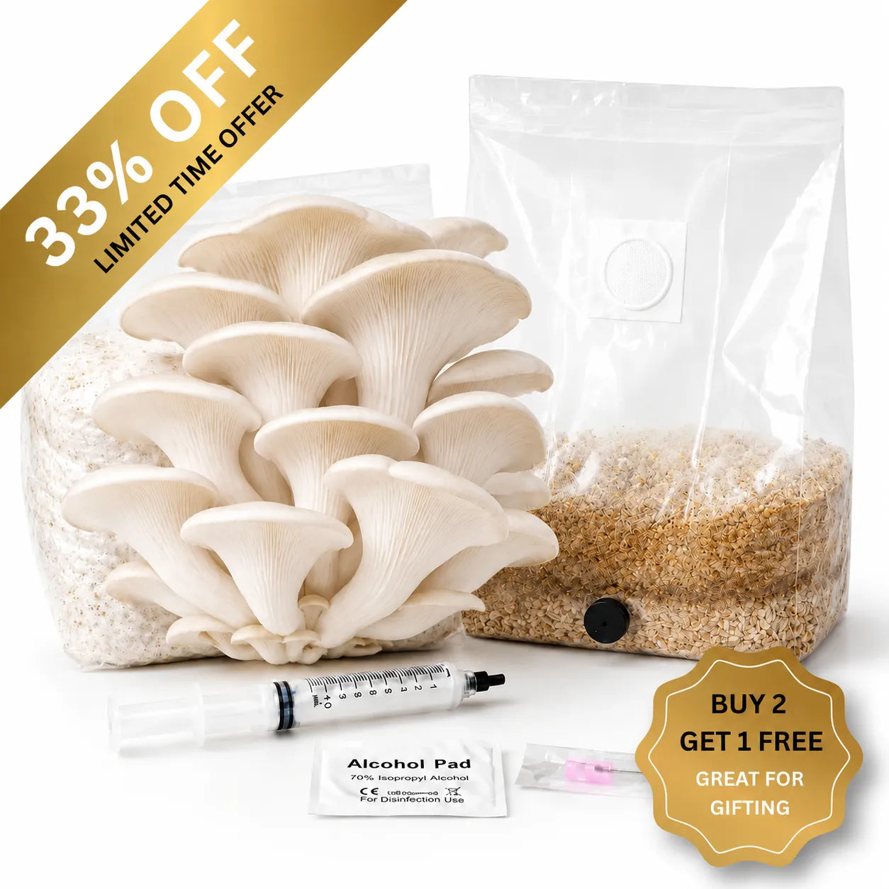Everything you need to grow your own White Elm Oyster mushrooms in as little as 4 weeks.