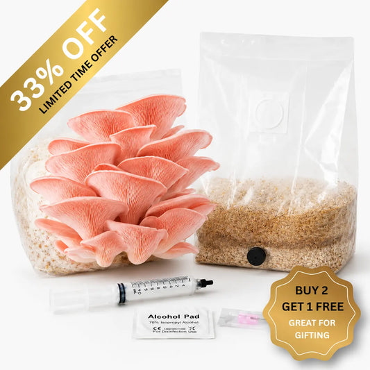 Everything you need to grow your own Pink Oyster mushrooms in as little as 4 weeks.